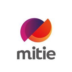 Org Chart Mitie Group - The Official Board