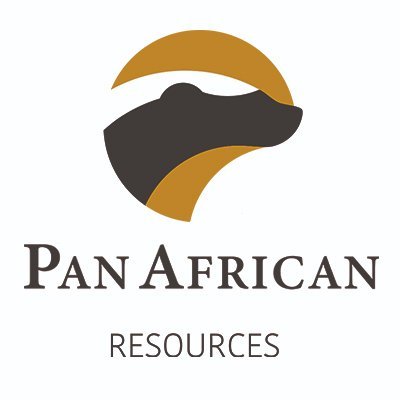 Org Chart Pan African Resources - The Official Board