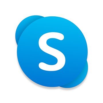 skype ceo 2021