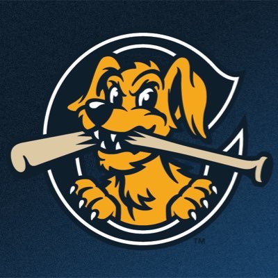 Org Chart Charleston RiverDogs - The Official Board