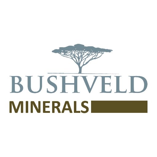 Org Chart Bushveld Minerals - The Official Board