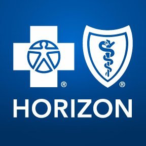 horizon bcbs provider number