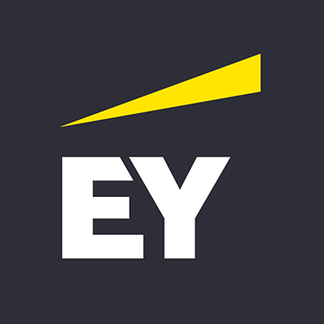 Org Chart EY Private Equity - The Official Board